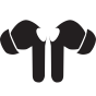 Voicebuds settings icon